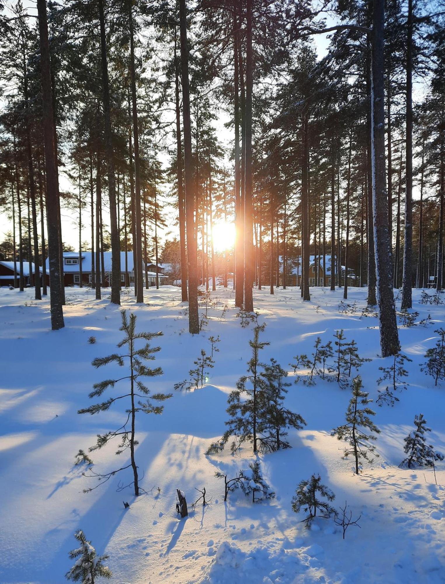 Charmigt Hus Och Mysigt Boende! Hudiksvall Bagian luar foto